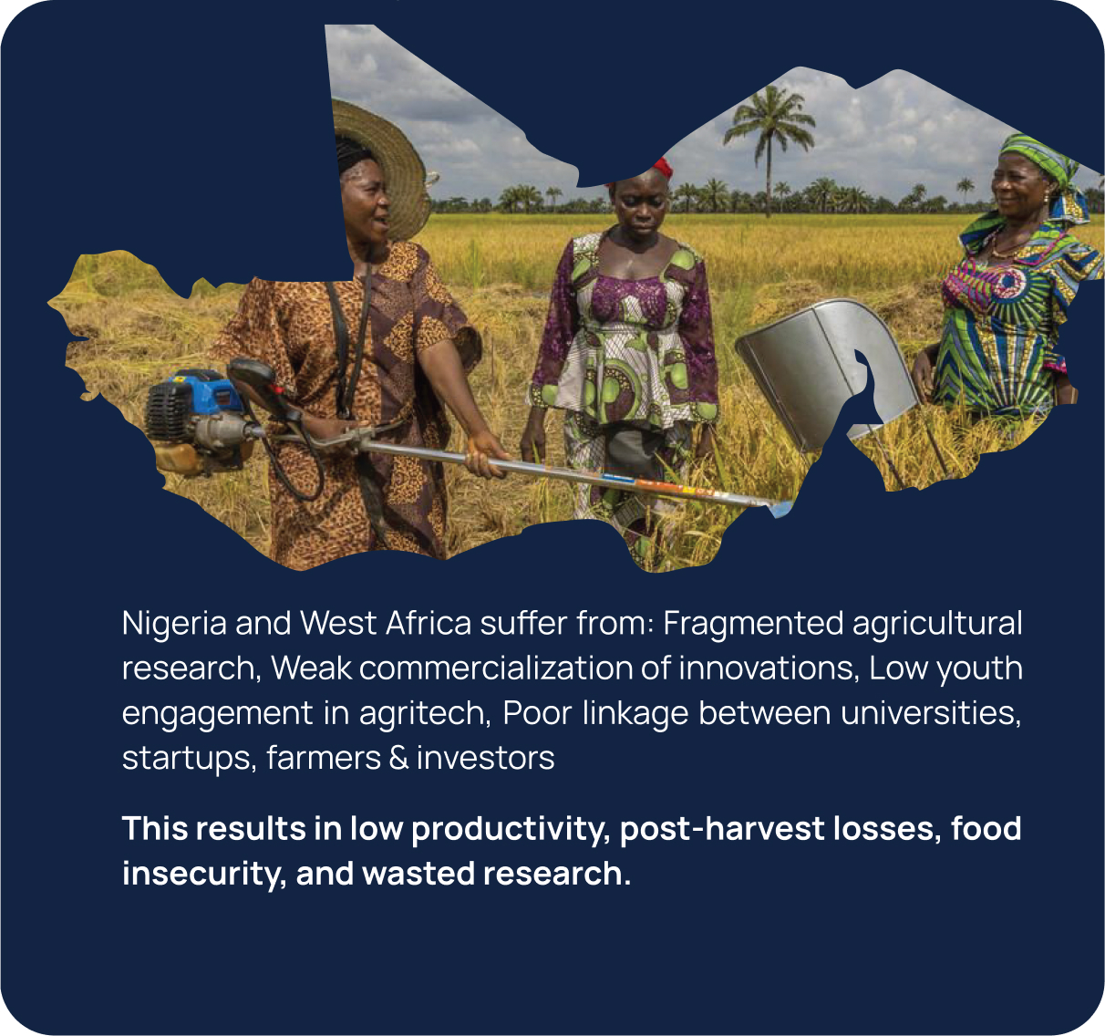 Social impact: agriculture and community development across Nigeria and West Africa